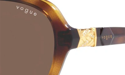 Shop Vogue 57mm Butterfly Sunglasses In Dark Havana