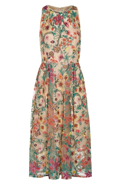 Shop Adrianna Papell Floral Embroidered Fit & Flare Midi Dress In Bright Rose Multi