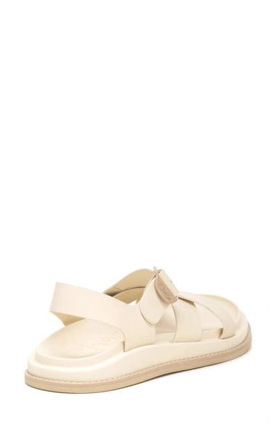 Shop Chaco Townes Sandal In Angora