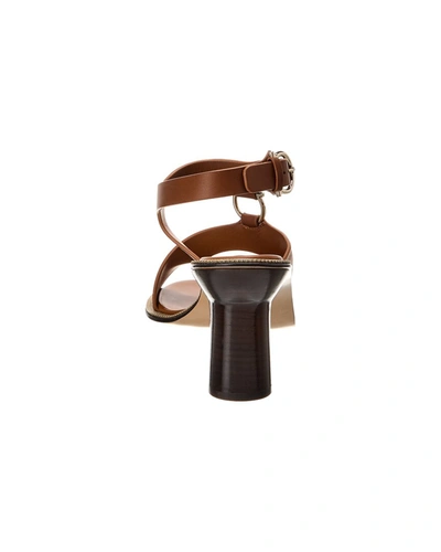 Shop Ferragamo Mapi Leather Sandal In Brown