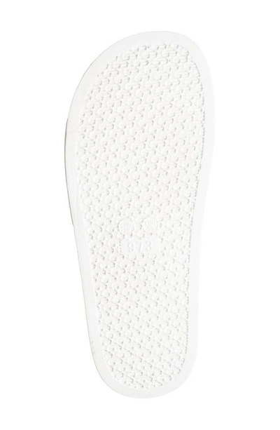 Shop Roberto Cavalli Pool Slide Sandal In White/ Black