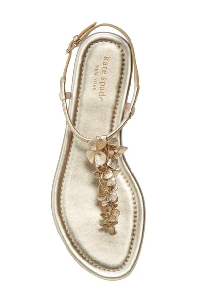 Shop Kate Spade Rosalie Sandal In Pale Gold