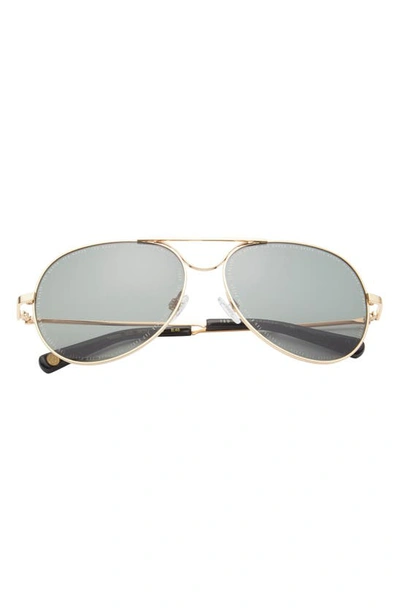 Shop Ted Baker 58mm Aviator Sunglasses In Gold