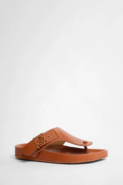 Shop Loewe Woman Brown Sandals