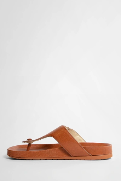 Shop Loewe Woman Brown Sandals