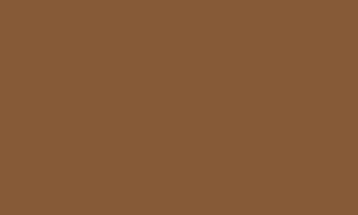 Stadium Athletic Women's  Brown Wyoming Cowboys Big Logo Pullover Hoodie In Brown