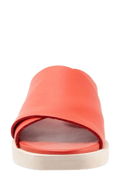 Shop Softwalk ® Kara Slide Sandal In Red