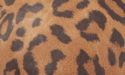 Shop Trotters Kiera Cheetah Print Pump In Brown Cheetah Print Leather