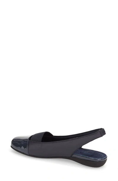 Shop Trotters Sarina Slingback Flat In Navy Leather