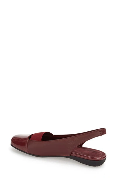 Shop Trotters Sarina Slingback Flat In Dark Red Leather