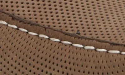 Shop Winthrop Naples Horsebit Loafer In Grey Nubuck