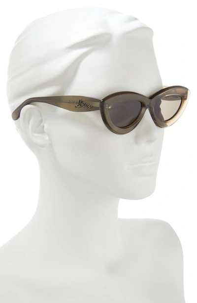 Shop Loewe Curvy Logo 54mm Cat Eye Sunglasses In Transparent Khaki