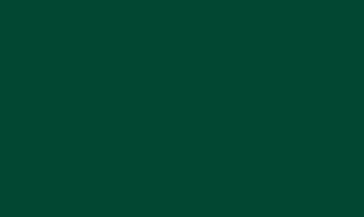 Men's Fanatics Branded Hunter Green Milwaukee Bucks Primary Team Logo T-Shirt