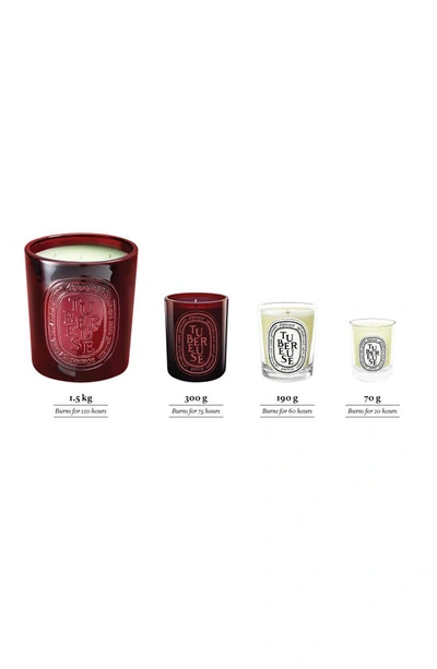 Shop Diptyque Tubereuse (tuberose) Scented Candle, 6.5 oz In Clear Vessel