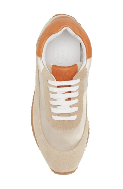 Chocolat Blu Monaco Sneaker In Tan Satin-suede