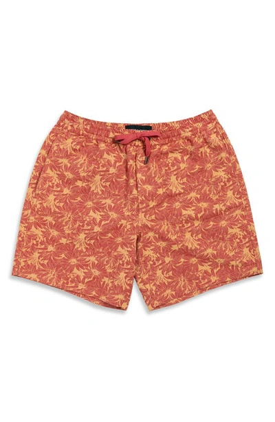 Shop Rodd & Gunn Main Beach Floral Stretch Cotton Drawstring Shorts In Sunset