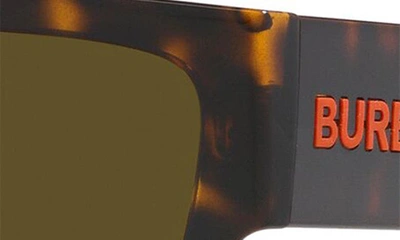 Burberry Micah 58mm Square Sunglasses In Dk Havana