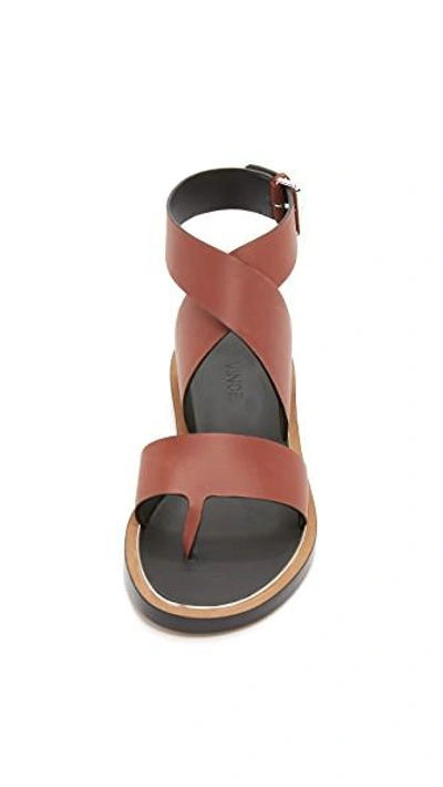 Shop Vince Mailin Flat Sandals In Whiskey