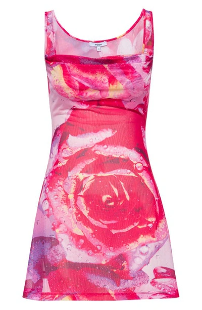 Shop Miaou Ginger Abstract Floral Print Mesh Dress In Dewy Rose