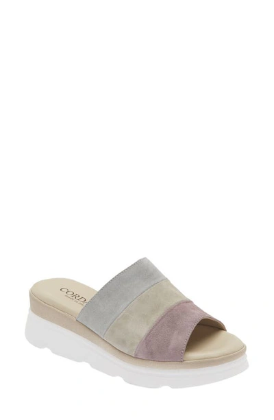 Shop Cordani Andria Platform Slide Sandal In Lavender Combo
