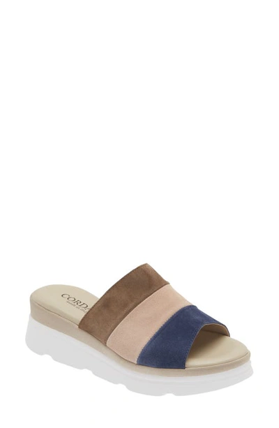 Shop Cordani Andria Platform Slide Sandal In Brown Combo