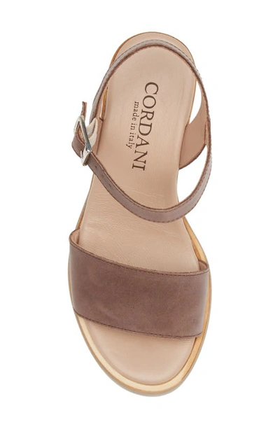 Shop Cordani Olivia Quarter Strap Wedge Sandal In Oyster Leather