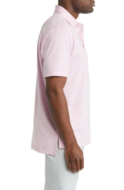 Shop Peter Millar Drum Performance Jersey Polo In Palmer Pink