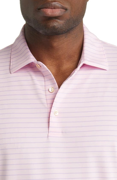 Shop Peter Millar Drum Performance Jersey Polo In Palmer Pink