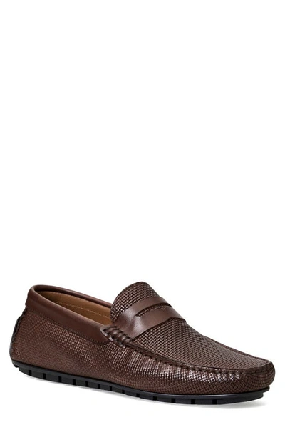 Shop Bruno Magli Xane Driving Penny Loafer In Brown Woven