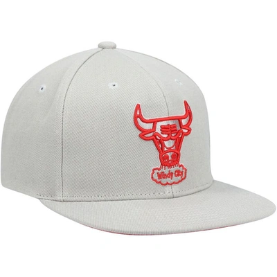 Shop Mitchell & Ness Gray Chicago Bulls Hardwood Classics Tonal Snapback Hat