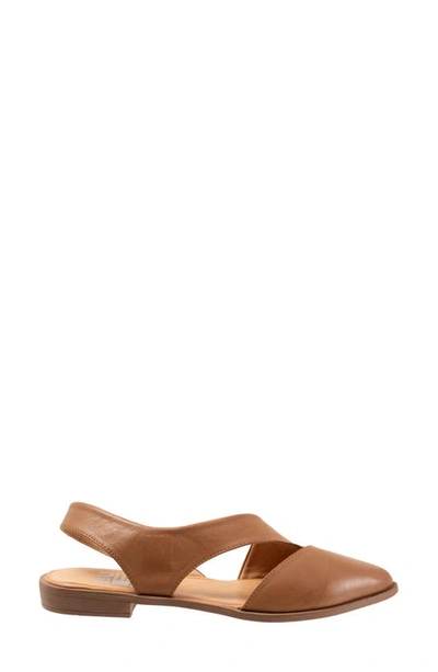 Shop Bueno Bianca Slingback Pointed Toe Flat In Walnut