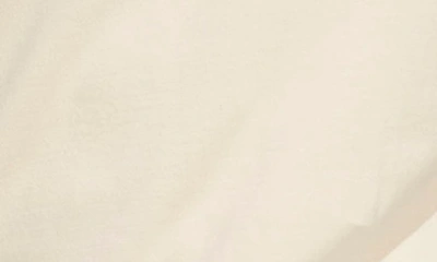 Shop Adidas Sportswear Cotton Logo T-shirt In Sand Strata