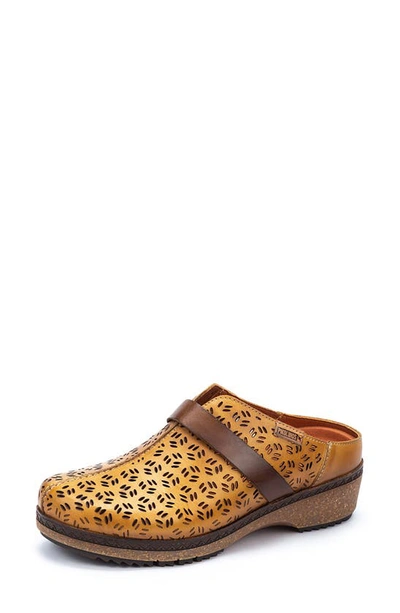 Shop Pikolinos Granada Wow Perforated Clog In Honey