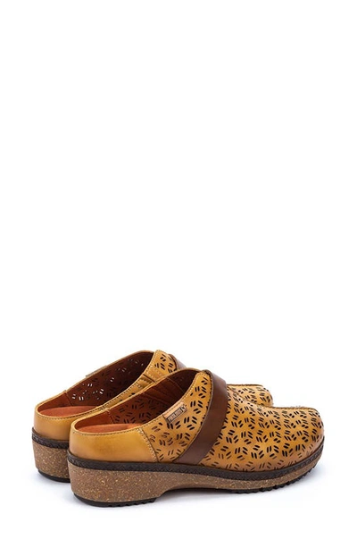 Shop Pikolinos Granada Wow Perforated Clog In Honey