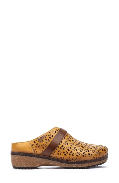 Shop Pikolinos Granada Wow Perforated Clog In Honey