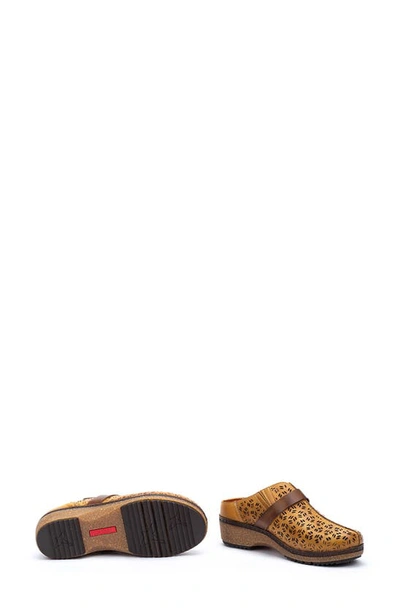 Pikolinos Granada Wow Perforated Clog In Honey