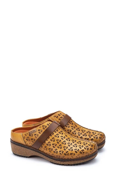 Shop Pikolinos Granada Wow Perforated Clog In Honey