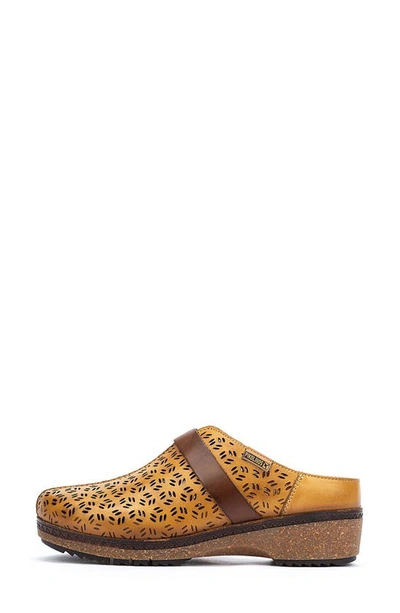 Shop Pikolinos Granada Wow Perforated Clog In Honey