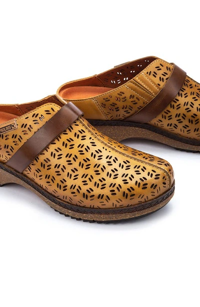 Shop Pikolinos Granada Wow Perforated Clog In Honey