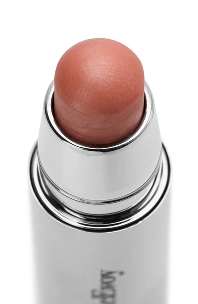 Trish Mcevoy Fast Track Face Stick