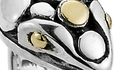 Samuel B. 18k Yellow Gold & Sterling Silver Snake Ring In Silver/ Gold