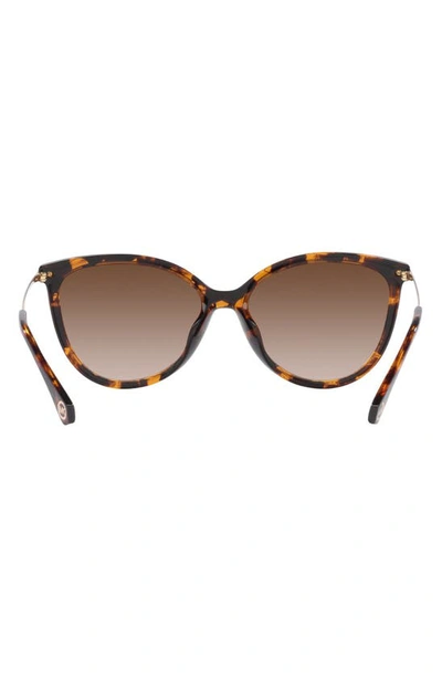 Michael Kors Dupont 58mm Gradient Cat Eye Sunglasses In Dk Tort