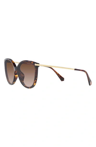 Shop Michael Kors Dupont 58mm Gradient Cat Eye Sunglasses In Dk Tort