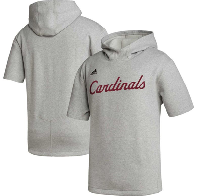 Louisville Cardinals adidas Modern Classic Tri-Blend T-Shirt - Heather Gray