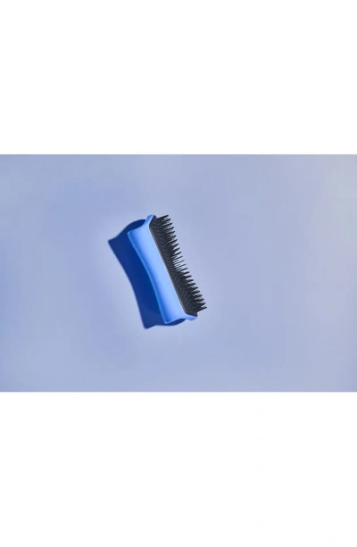 Shop Tangle Teezer Large Detangling Dog Grooming Brush In Blue And Grey