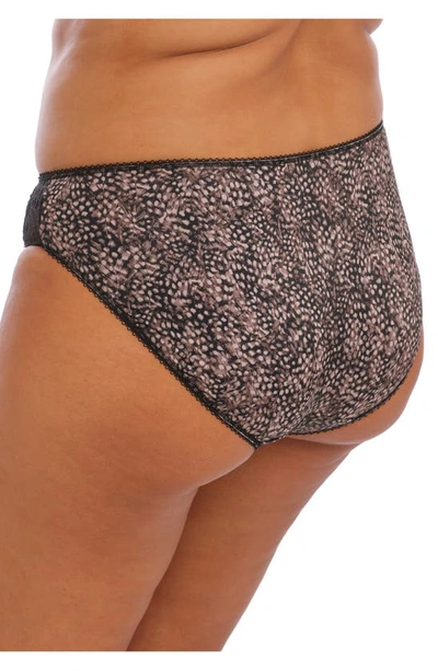 Elomi Morgan Full Figure Briefs In Ebony