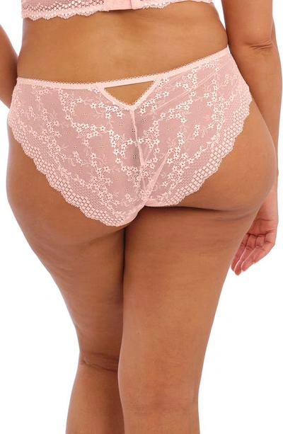 Shop Elomi Charley Full Figure Mesh & Lace Brazilian Briefs In Ballet Pink