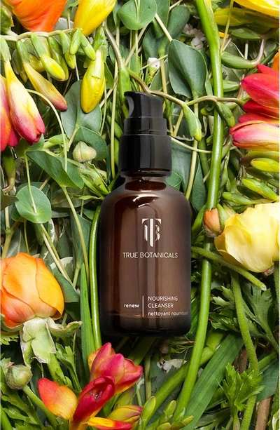 True Botanicals Renew Nourishing Cleanser