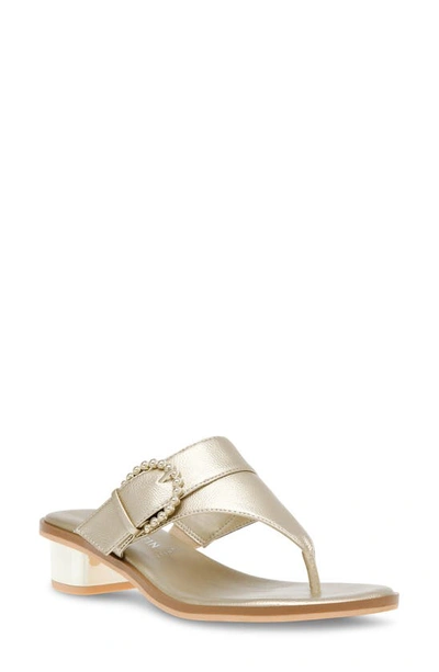 Shop Anne Klein Thessy Sandal In Platinum