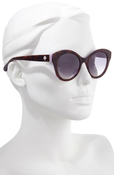 Shop Kate Spade Karleigh 51mm Cat Eye Sunglasses In Havana/ Plum